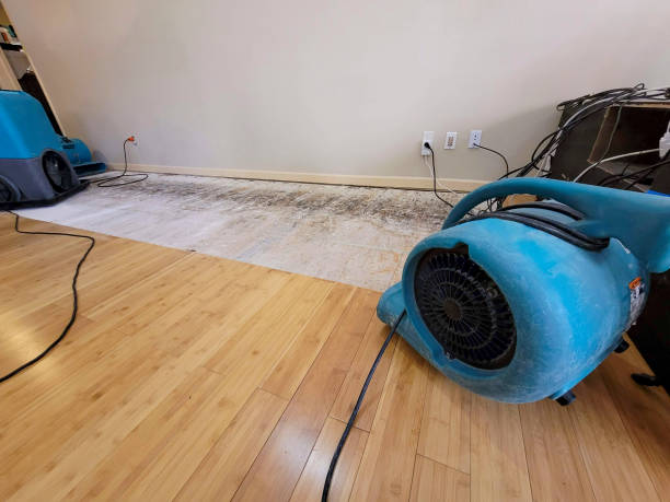 Professional Water Damage Repair technician working in Troy, NY
